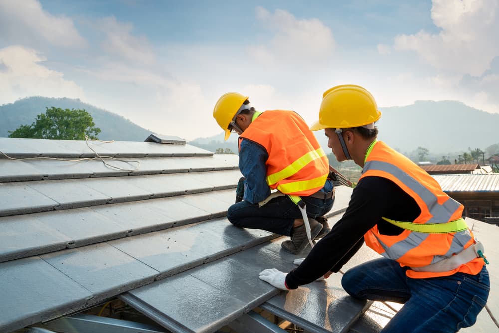 roof repair in Denali Borough AK